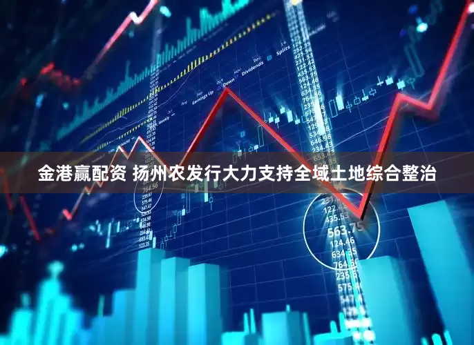 金港赢配资 扬州农发行大力支持全域土地综合整治