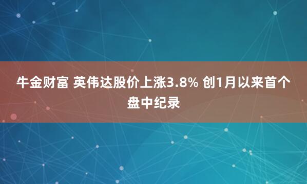 牛金财富 英伟达股价上涨3.8% 创1月以来首个盘中纪录