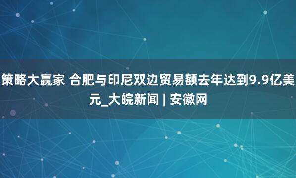 策略大赢家 合肥与印尼双边贸易额去年达到9.9亿美元_大皖新闻 | 安徽网