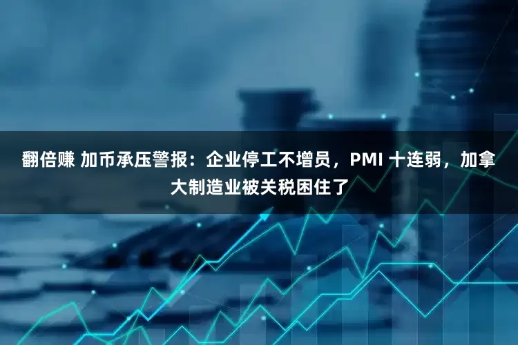 翻倍赚 加币承压警报：企业停工不增员，PMI 十连弱，加拿大制造业被关税困住了